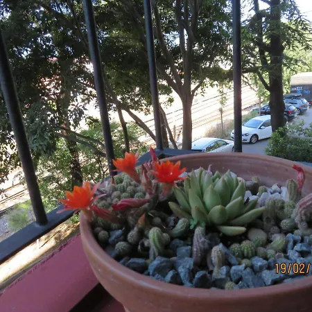 Apartman Vezica
