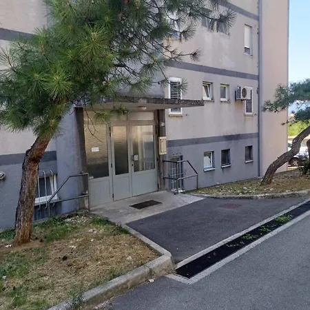 Apartman Vezica *